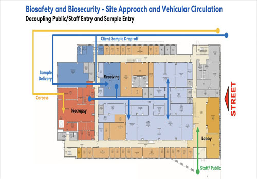 實(shí)驗(yàn)室整體規(guī)劃